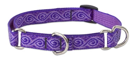 Jelly Roll Dog Collar