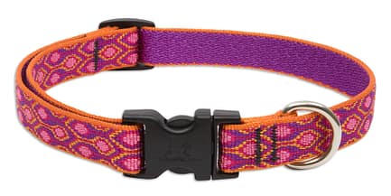 Alpen Glow Dog Collar - Image 2