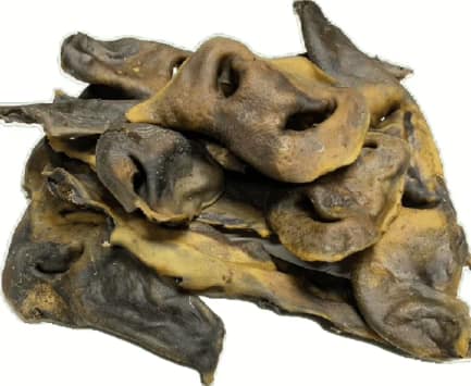 Beef Snouts Large