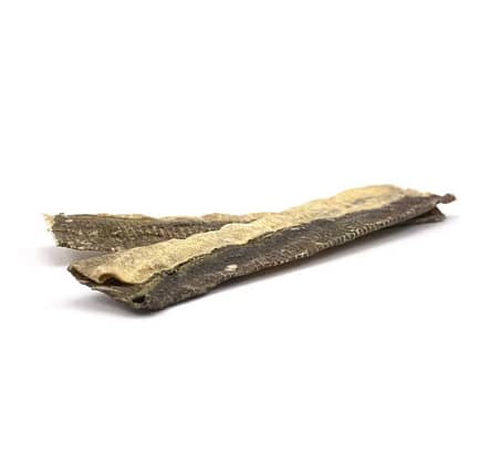 Fish Flatties