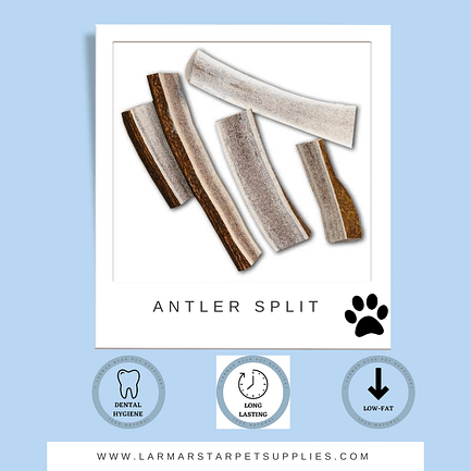 Antler Split