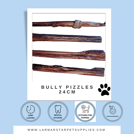 Bully Pizzle 24cm