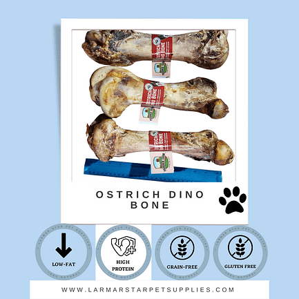 Ostrich Dino Bone