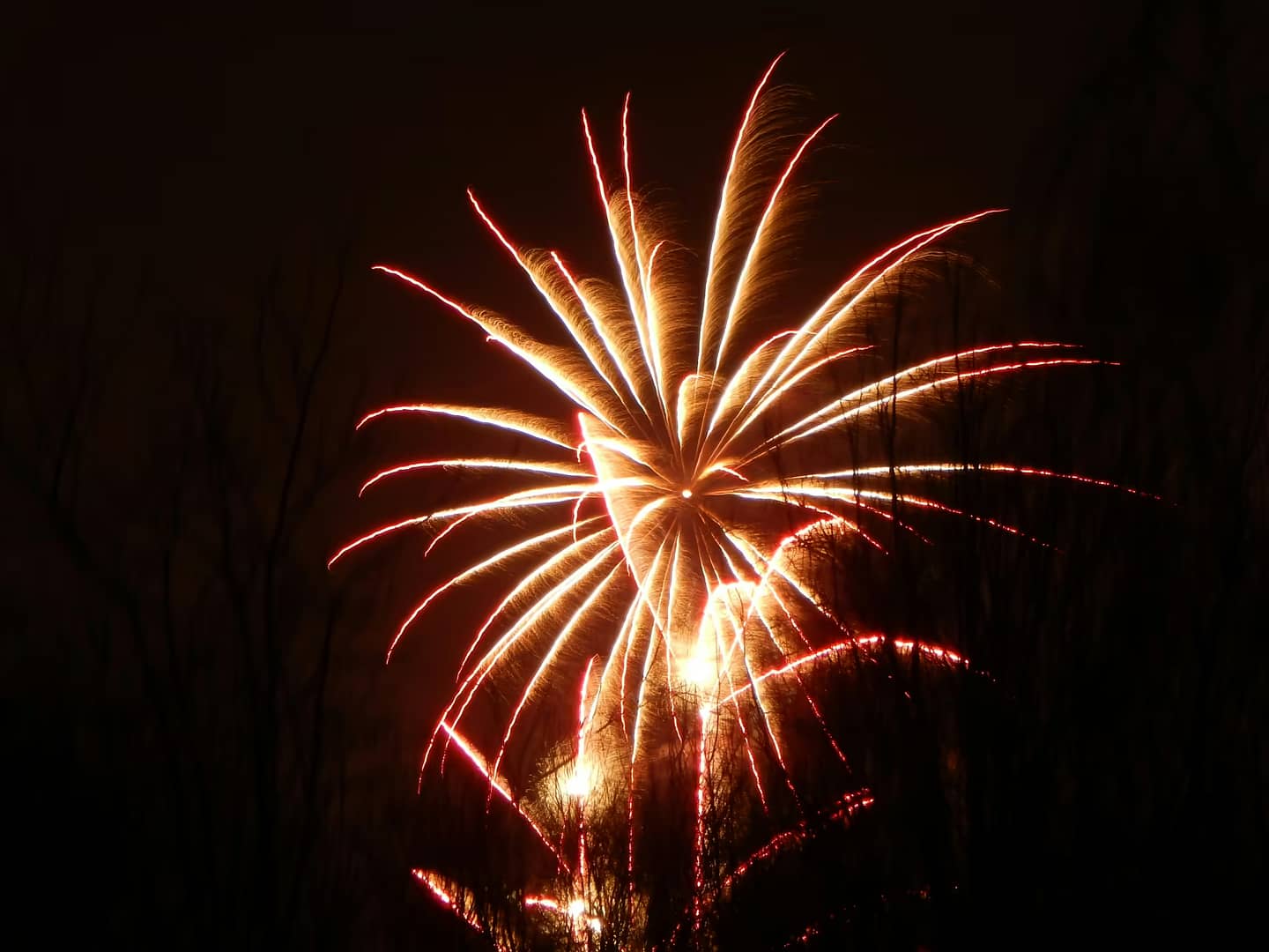 You are currently viewing Advice to Keep Your Dog Safe and Calm During Fireworks