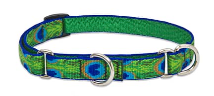 Tail Feathers Dog Collar