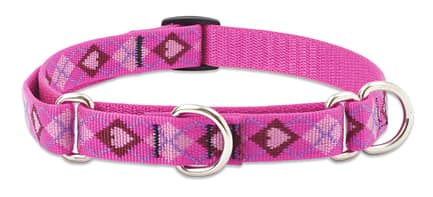 Puppy Love Dog Collar