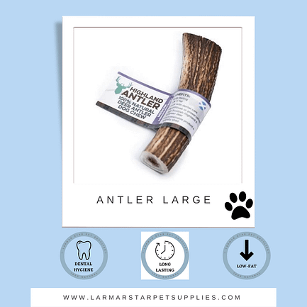 Antler Chew