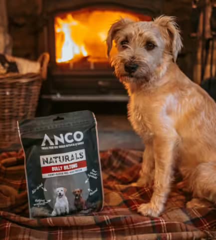 Anco Naturals Bully Biltong 100g - Image 2