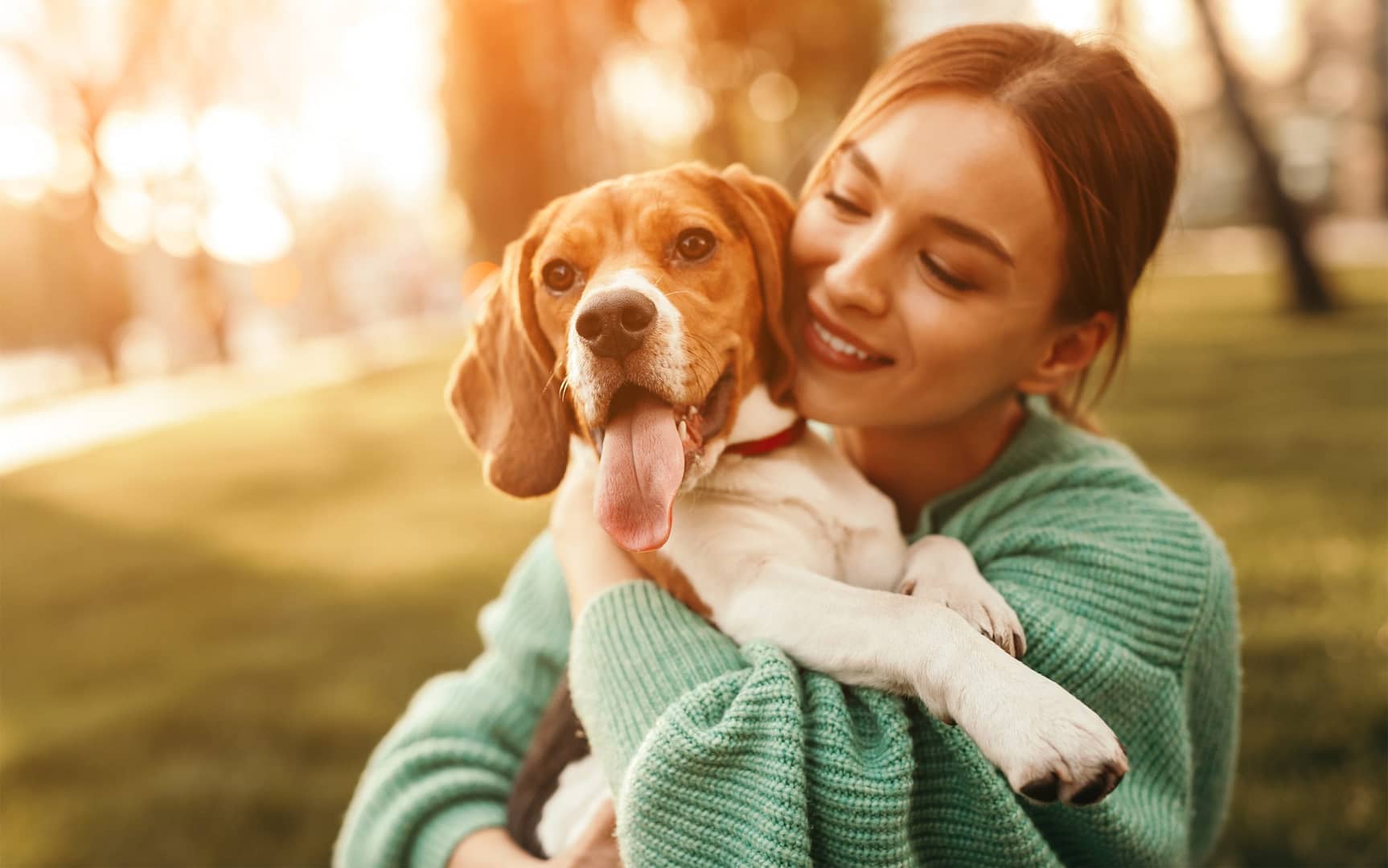 Positive young female in green sweater hugging friendly beagle dog enjoying happy moments together while walking in green park in sunny day