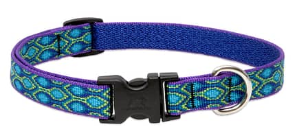 Rain Song Dog Collar