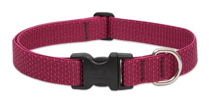 Berry Eco Dog Collar