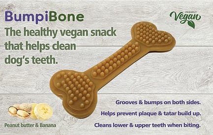 BumpiBones Peanut Butter & Banana Dental Bone