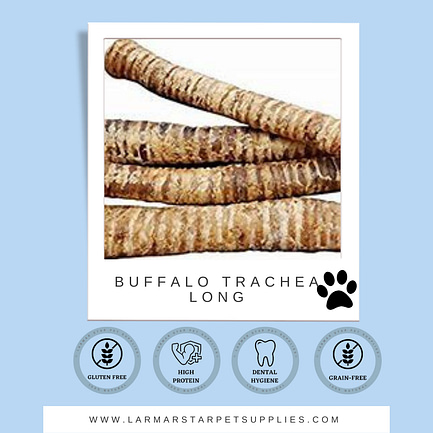 Buffalo Trachea