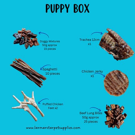 Puppy Box