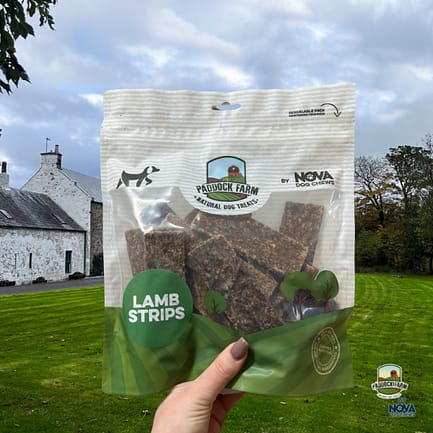 Lamb Strips