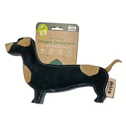 Douglas Dachshund