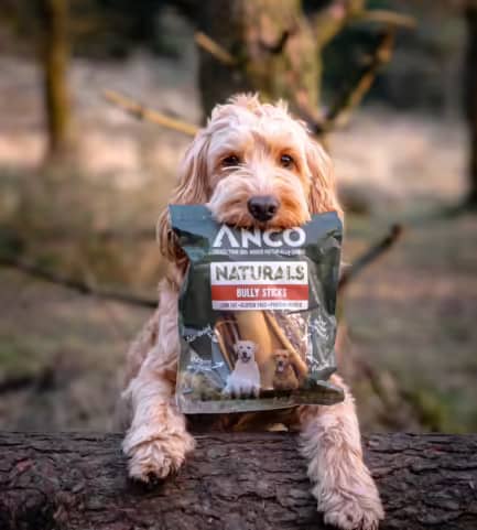 Anco Naturals Bully Sticks 100g