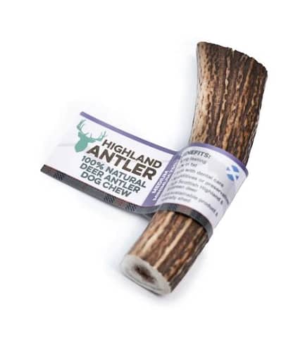 Antler Chew - Image 2