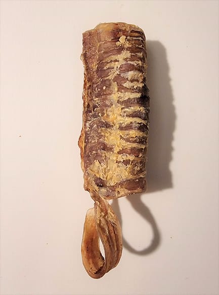 Trachea long - Image 2